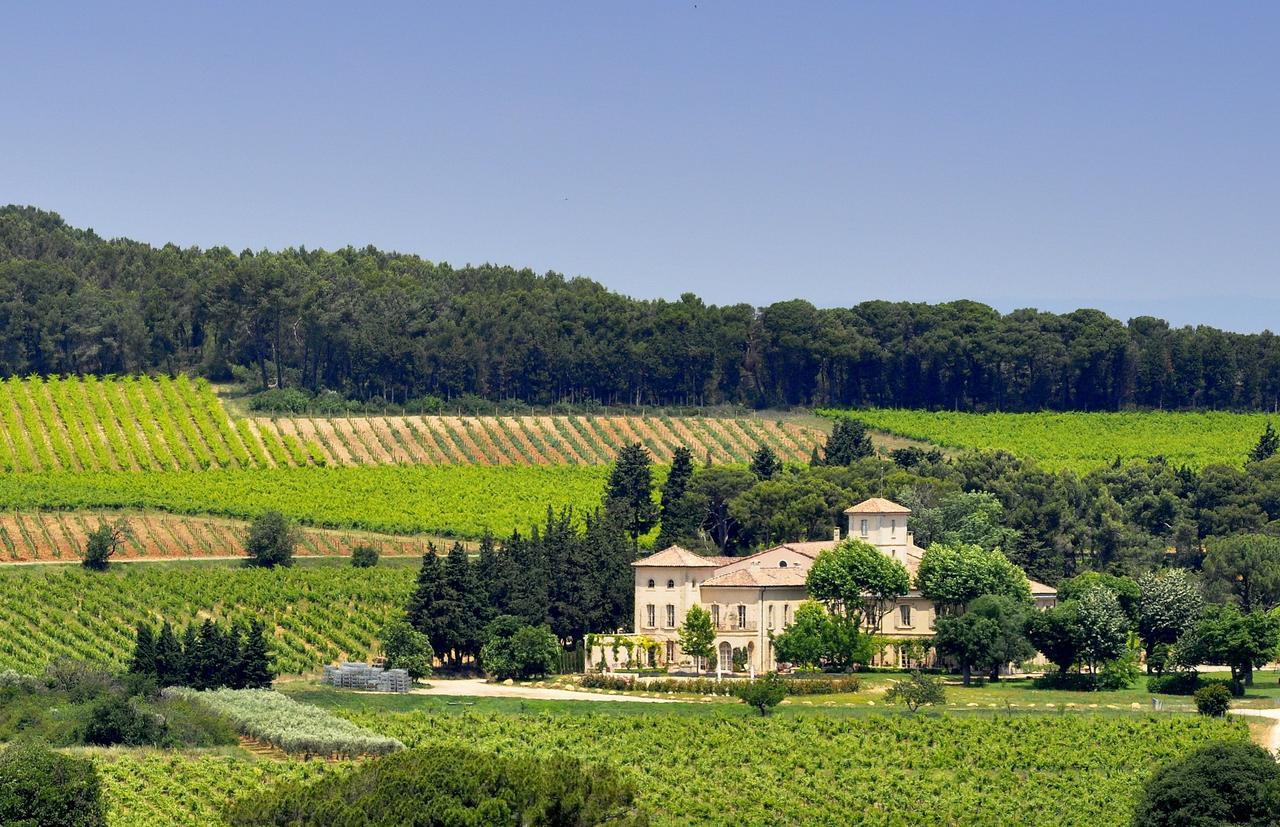 Chambre D'Hotes Chateau Gigognan Sorgues Exterior foto
